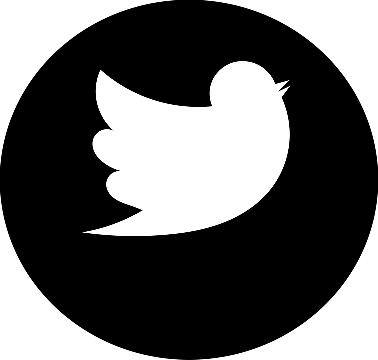 Twitter Is Deliberately Hiding Specific&nbsp;Content
