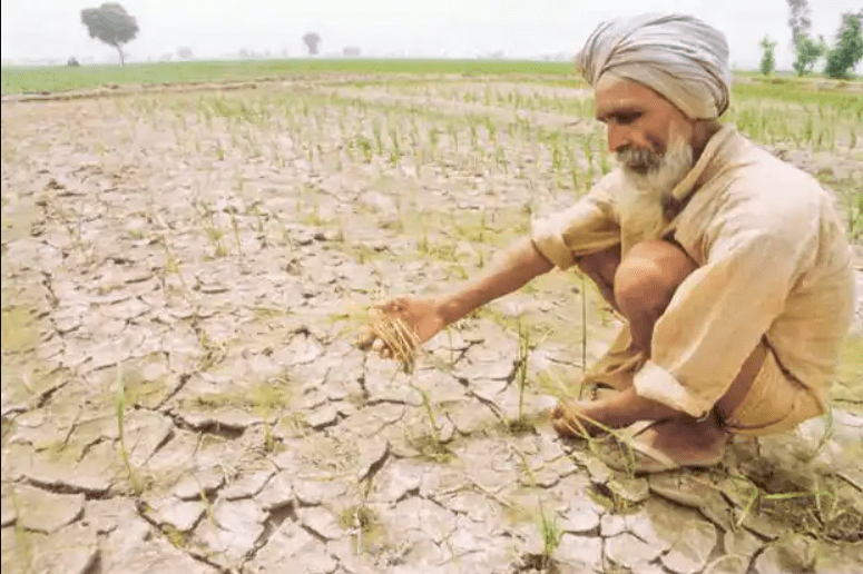 Nero’s Guests Keeping The Farmers&nbsp;Downtrodden